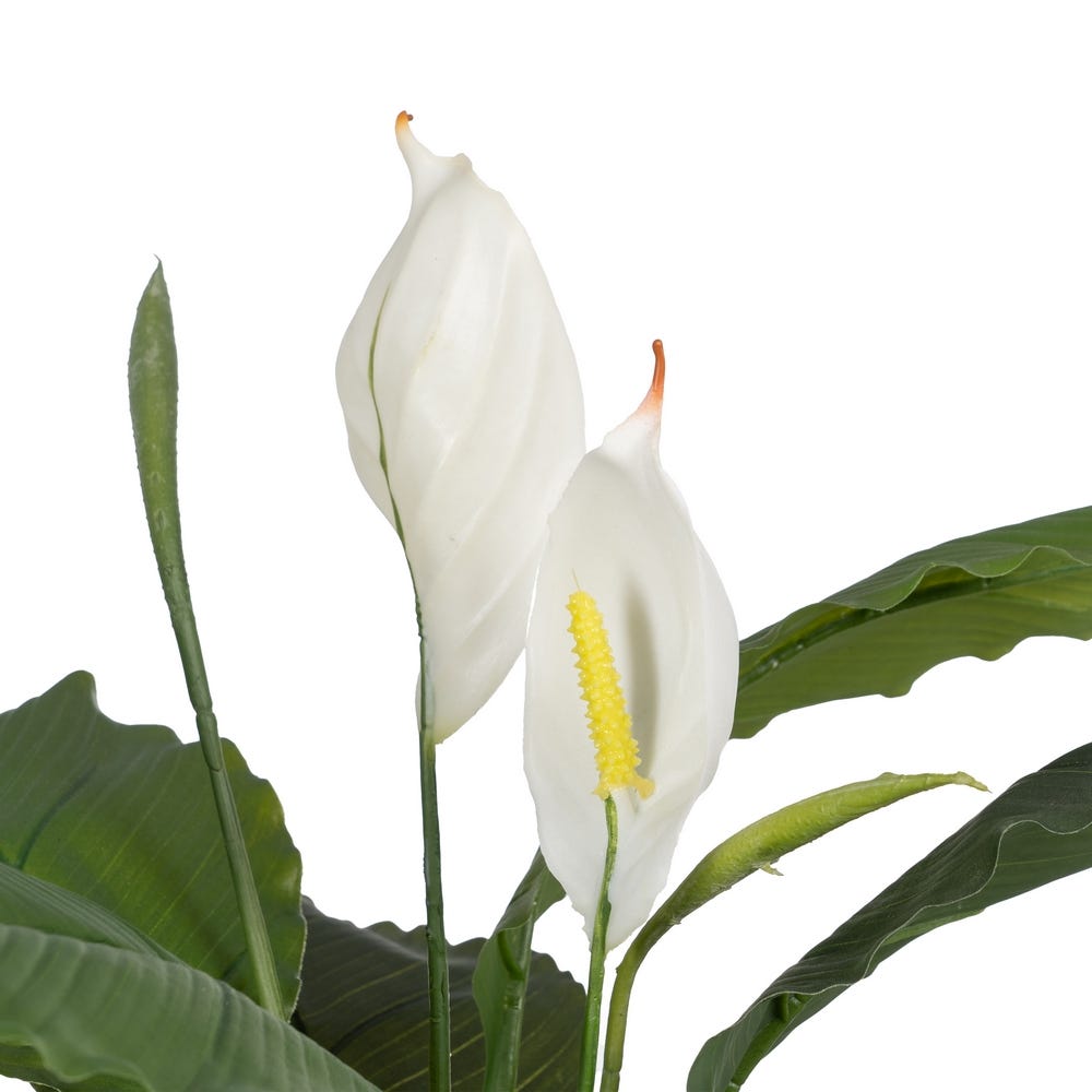 Planta Verde-Branco Polietileno Jardins 130 Cm - Image 3